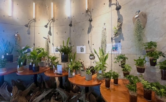 うな希 希々花 中百舌鳥本店 店舗写真8